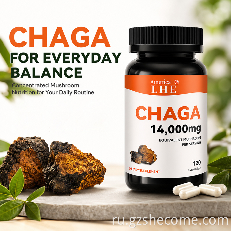 Chaga Mushrooms Capsules7